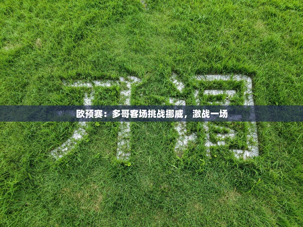 欧预赛:多哥客场挑战挪威,激战一场 第2张